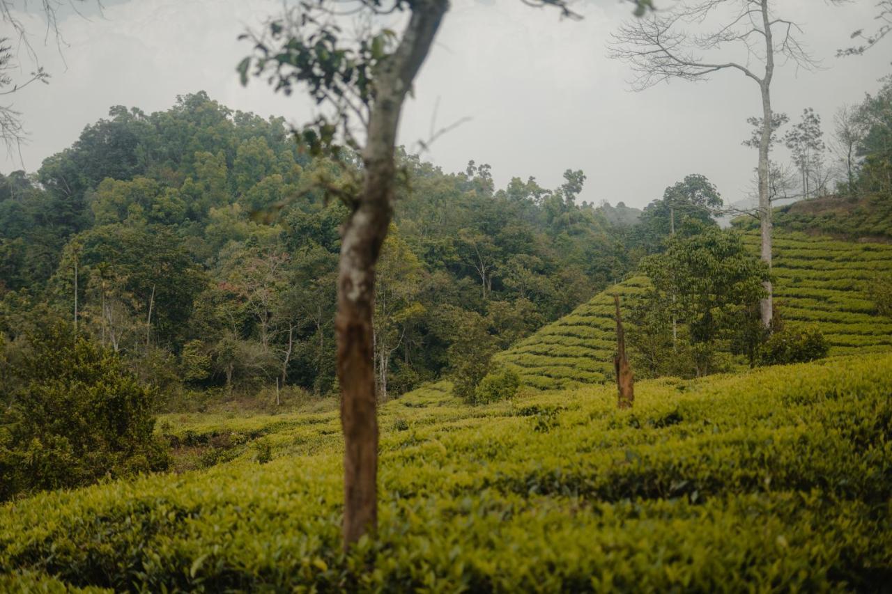 Abad Brookside Wayanad Hotel Vithiri Kültér fotó
