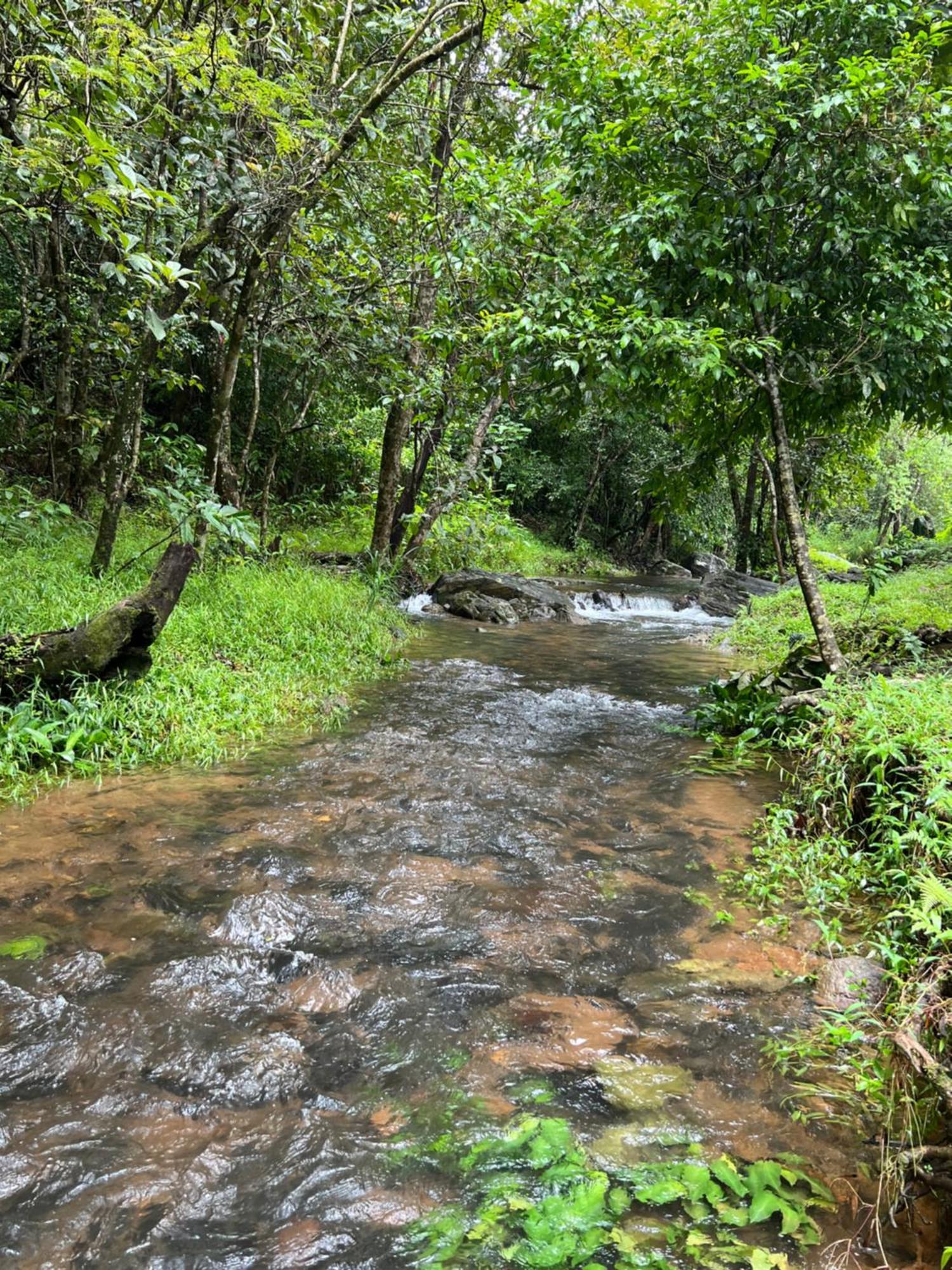 Abad Brookside Wayanad Hotel Vithiri Kültér fotó