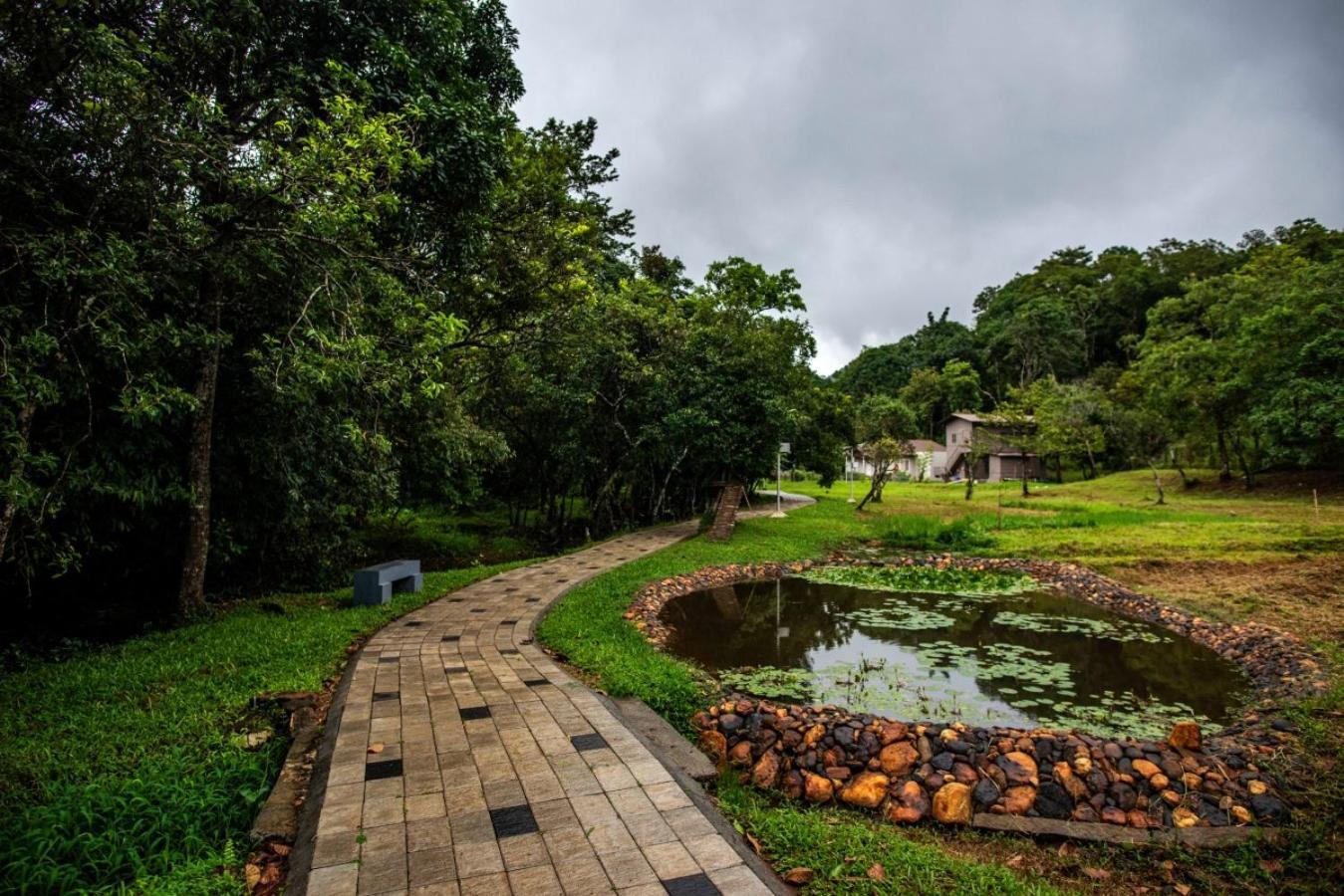 Abad Brookside Wayanad Hotel Vithiri Kültér fotó