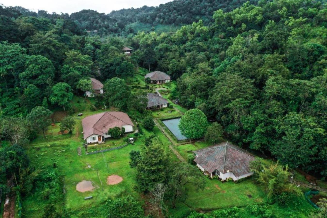 Abad Brookside Wayanad Hotel Vithiri Kültér fotó