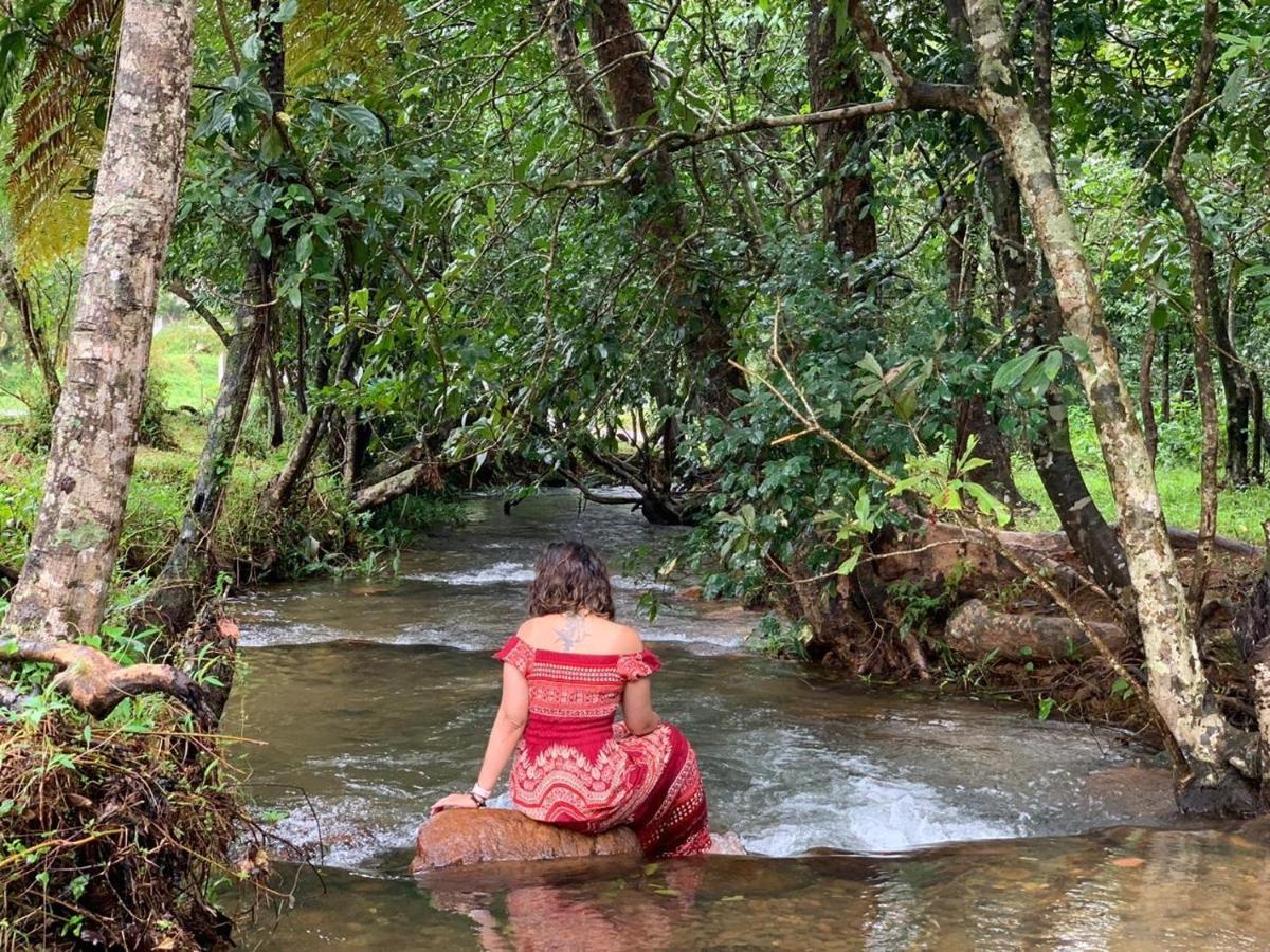 Abad Brookside Wayanad Hotel Vithiri Kültér fotó