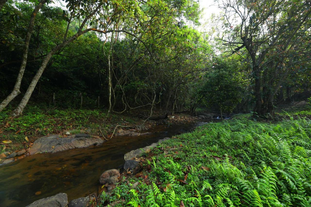 Abad Brookside Wayanad Hotel Vithiri Kültér fotó